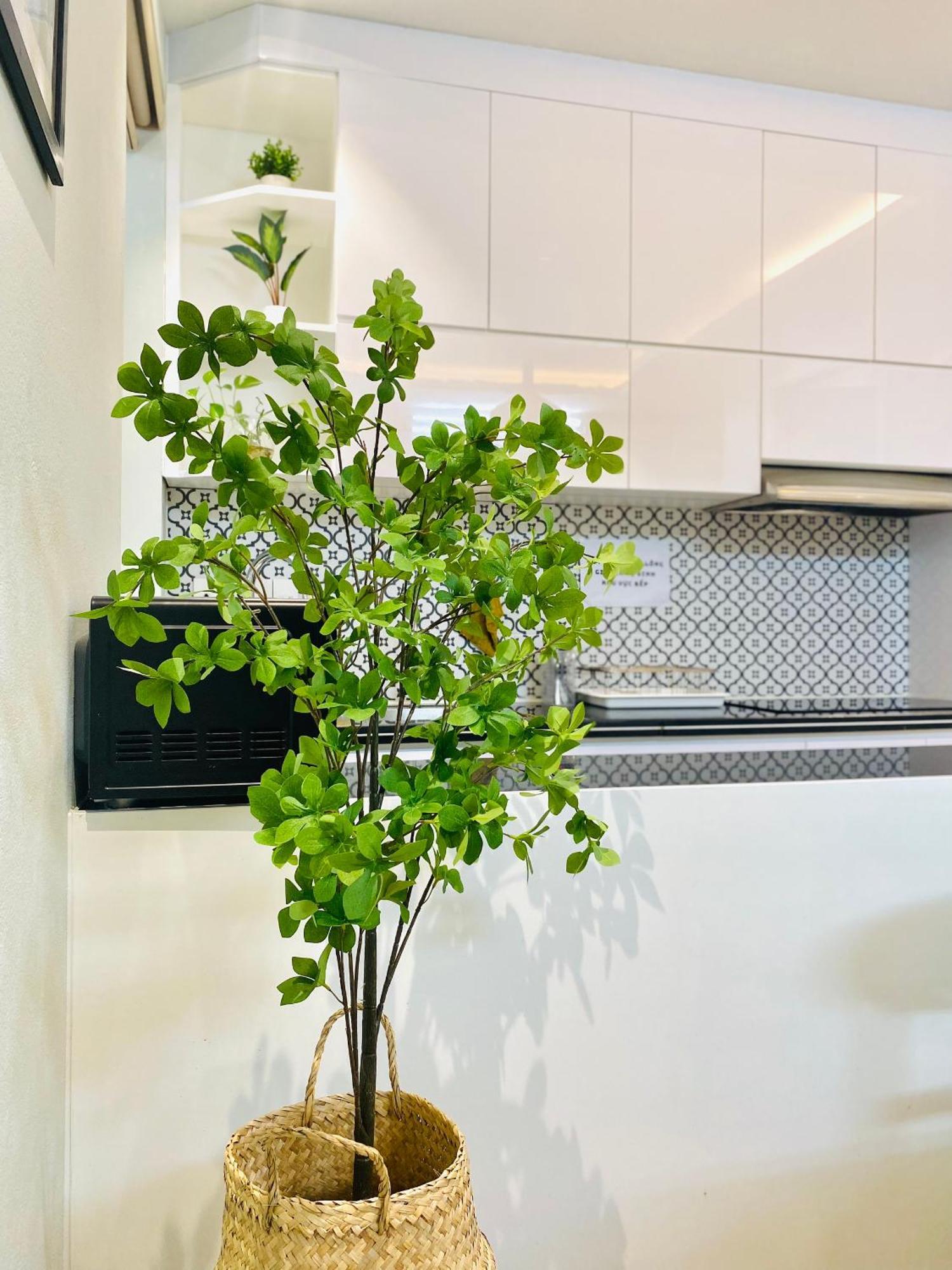 G-Space Apartment ハイフォン エクステリア 写真